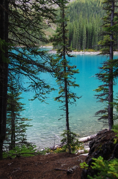 Banff NP 'Moraine  Lake Lakeshore' 16_09_2011 (144).JPG